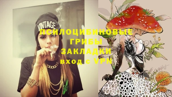 дурь Алексин