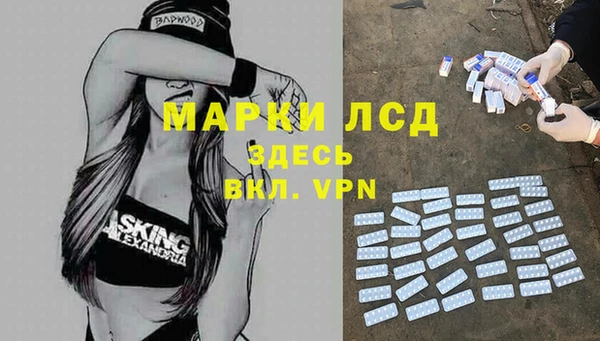 a pvp Алзамай